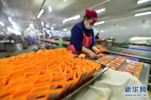 多彩贵州网 贵州丹寨 新年将至食品企业生产忙